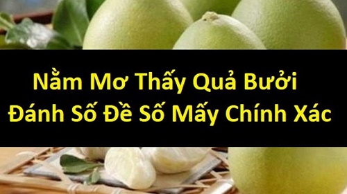 mơ thấy quả bưởi đánh con gì? ý nghĩa của giấc mơ