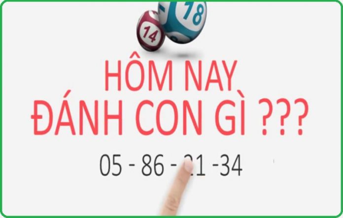 hướng dẫn các cách tính lô theo ngày theo từng miền hướng dẫn các cách tính lô theo ngày theo từng miền