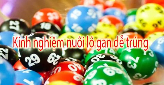 chu-ky-va-cach-nhan-biet-lo-gan-chuan-1